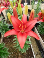 [5014 TinyHope No02.JPG]